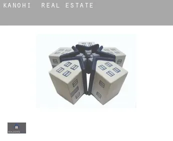 Kanohi  real estate