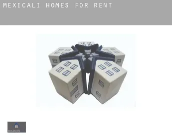 Mexicali  homes for rent