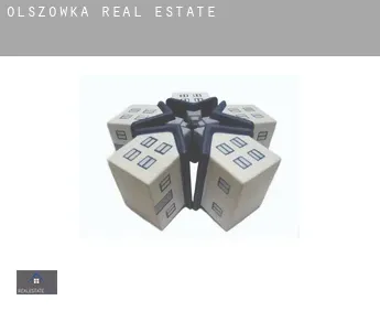 Olszówka  real estate