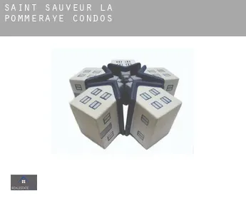 Saint-Sauveur-la-Pommeraye  condos