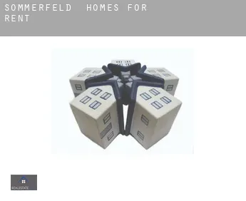 Sommerfeld  homes for rent