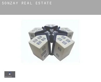 Sonzay  real estate