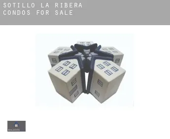 Sotillo de la Ribera  condos for sale