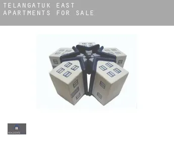Telangatuk East  apartments for sale