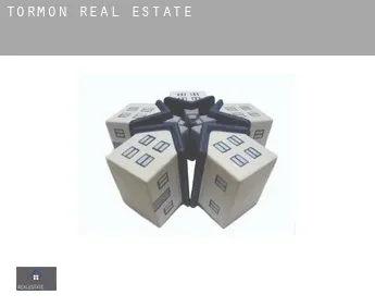 Tormón  real estate