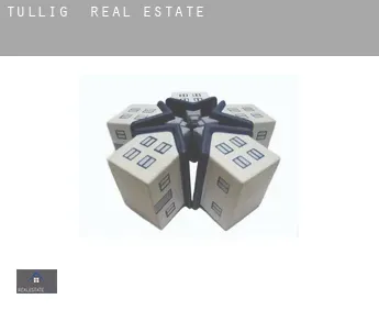 Tullig  real estate