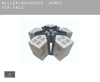 Welleringhausen  homes for sale