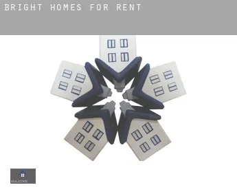 Bright  homes for rent