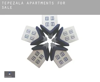Tepezalá  apartments for sale