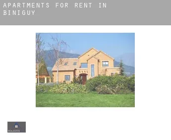 Apartments for rent in  Biniguy