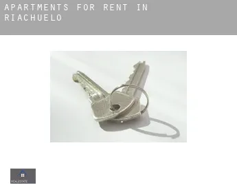 Apartments for rent in  Riachuelo