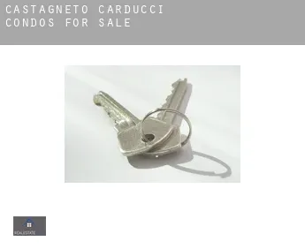 Castagneto Carducci  condos for sale