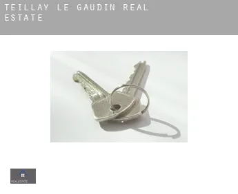 Teillay-le-Gaudin  real estate