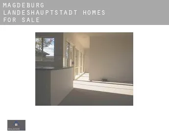 Magdeburg Landeshauptstadt  homes for sale