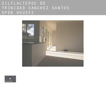 Ziltlaltepec de Trinidad Sanchez Santos  open houses