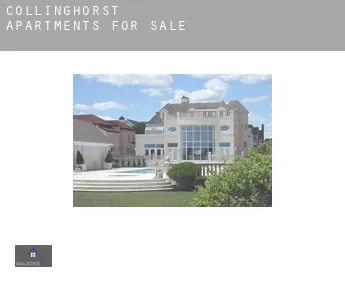 Collinghorst  apartments for sale