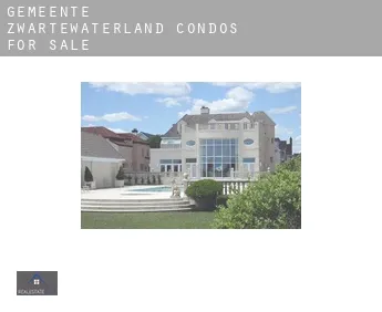 Gemeente Zwartewaterland  condos for sale