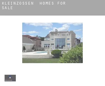 Kleinzössen  homes for sale