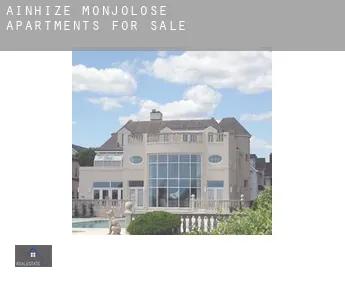 Ainhice-Mongelos  apartments for sale