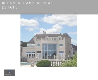 Bolaños de Campos  real estate