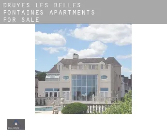 Druyes-les-Belles-Fontaines  apartments for sale