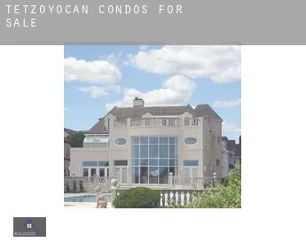 Tetzoyocan  condos for sale