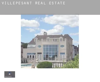 Villepesant  real estate