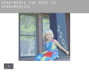 Apartments for rent in  Dornumersiel