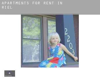 Apartments for rent in  Riel