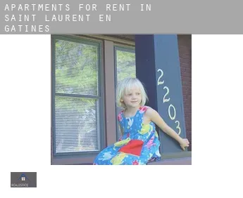 Apartments for rent in  Saint-Laurent-en-Gâtines