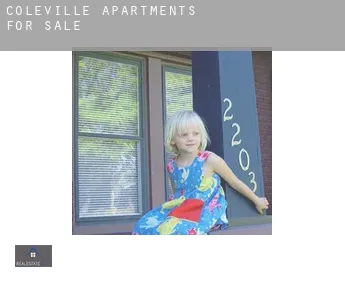 Coleville  apartments for sale