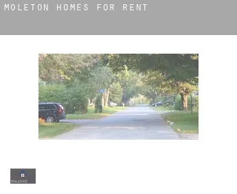 Moleton  homes for rent