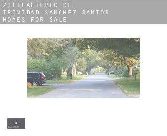 Ziltlaltepec de Trinidad Sanchez Santos  homes for sale
