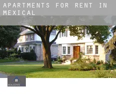 Apartments for rent in Mexicali