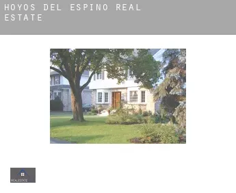 Hoyos del Espino  real estate