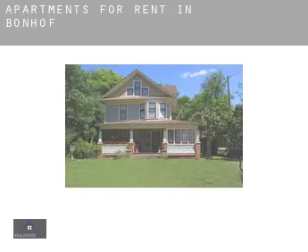 Apartments for rent in  Bonhof