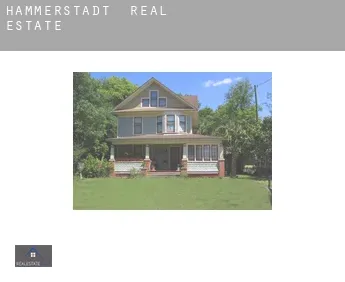 Hammerstadt  real estate