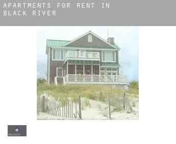 Apartments for rent in  Black River