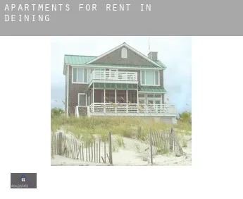 Apartments for rent in  Deining