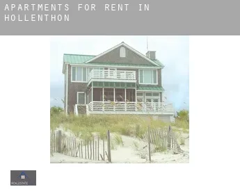 Apartments for rent in  Hollenthon