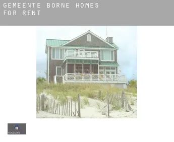 Gemeente Borne  homes for rent