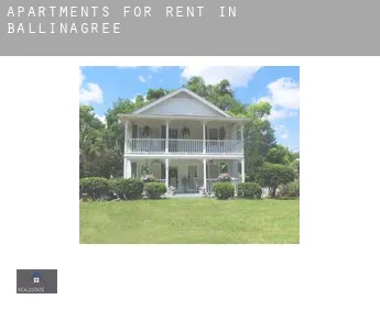 Apartments for rent in  Ballinagree