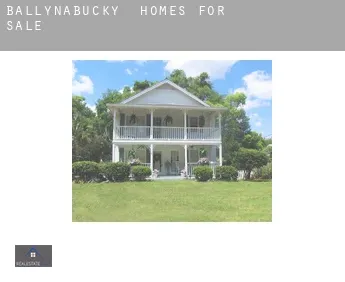 Ballynabucky  homes for sale