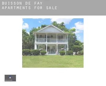 Buisson-de-Fay  apartments for sale