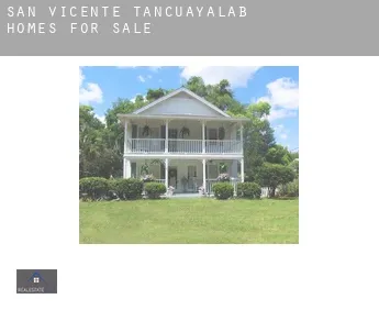 San Vicente Tancuayalab  homes for sale