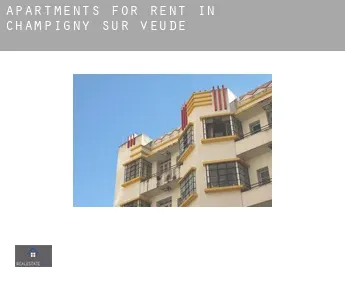 Apartments for rent in  Champigny-sur-Veude