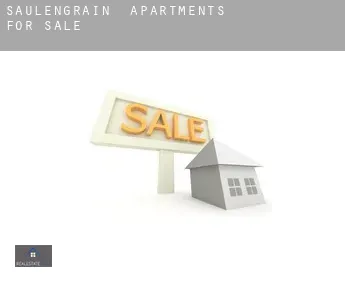 Saulengrain  apartments for sale