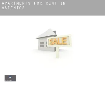Apartments for rent in  Asientos