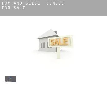 Fox and Geese  condos for sale