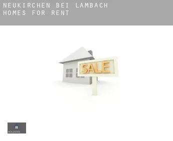 Neukirchen bei Lambach  homes for rent